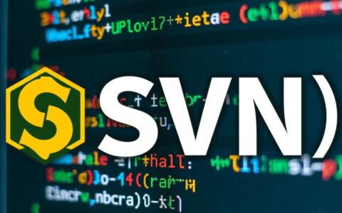 如何在CentOS 6.5系统上下载并安装SVN版本控制工具？
