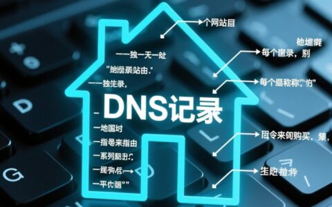 虚拟主机记录值怎么看，如何正确填写？