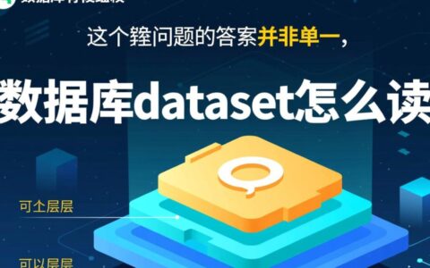 数据库中的dataset数据集到底应该怎么正确读取？