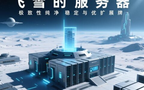 飞雪的服务器到底是干嘛的，值得进去看看吗？