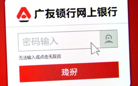 广发网银登录时密码无法输入，究竟是什么原因造成的？