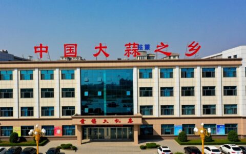 金乡网站建设哪家公司好又比较专业靠谱？