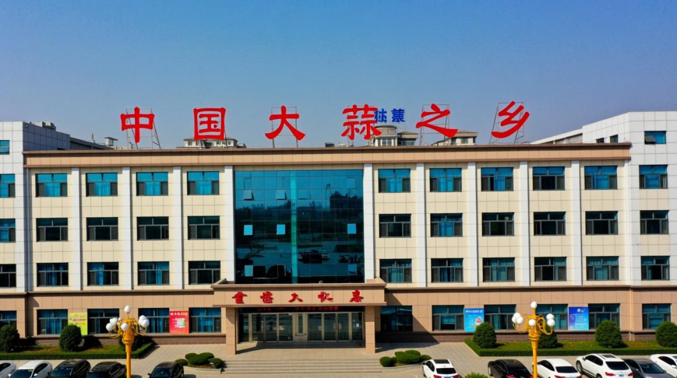 金乡网站建设哪家公司好又比较专业靠谱？