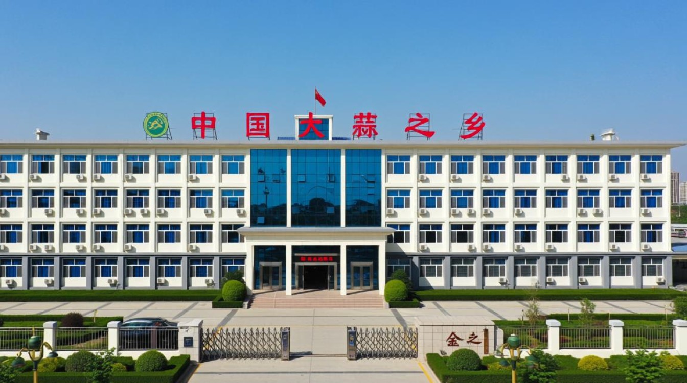 金乡网站建设哪家公司好又比较专业靠谱？