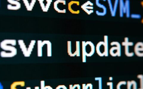 为什么SVN更新状态时总是报错，该如何解决？