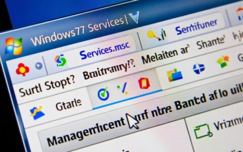 Win7服务无法设置，启动类型灰色且提示拒绝访问？