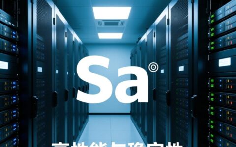 中国企业该如何选择稳定可靠的SA服务器？