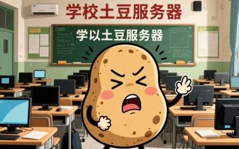 为什么学校土豆服务器总卡顿，严重影响学习？