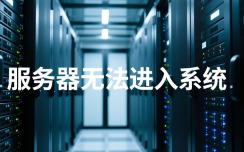 服务器无法进入系统怎么办，数据会丢失要如何解决？