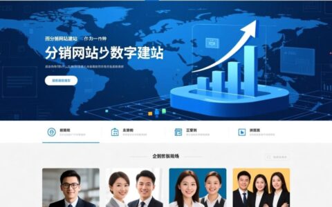 想建分销网站，应该如何选择平台并控制成本？