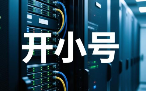 在服务器上开小号具体要怎么做，有什么注意事项？
