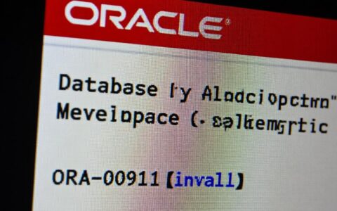 ORA-00911报错无效字符，SQL末尾多了分号怎么办？