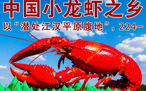 为什么我的潜江网站推广了却没有效果？