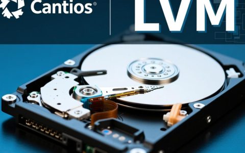 CentOS服务器上新增的LVM分区要如何挂载使用？
