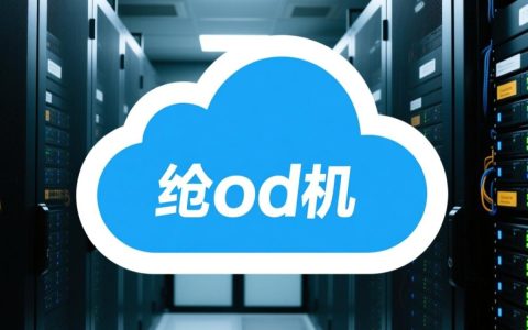 云虚拟主机能挂软件吗？具体支持哪些类型，又有哪些限制？