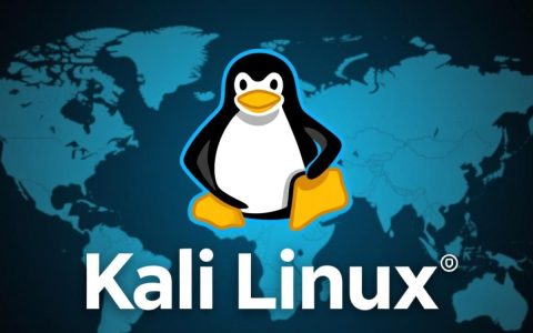 为什么高手都建议别用Kali Linux做服务器？