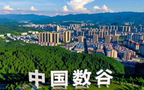 贵阳企业该如何选择稳定高速的DNS服务器来提升访问速度？