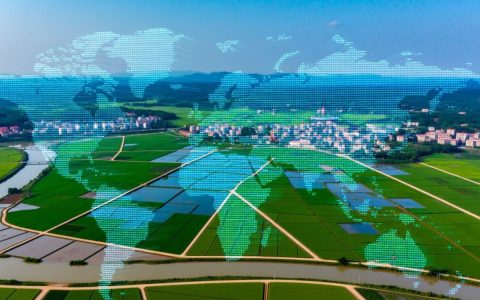 在宾阳找网站建设公司，做一个普通的展示网站大概要花多少钱呢？