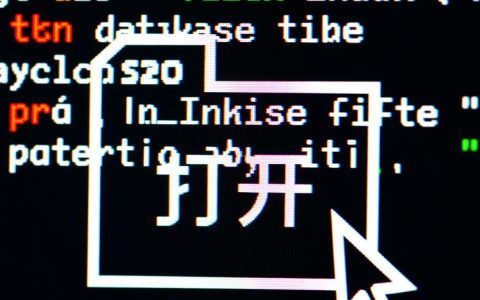 在Linux中如何打开数据库文件，有哪些具体方式？