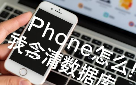 iPhone如何清理数据库垃圾，不恢复出厂设置也能有效释放空间？