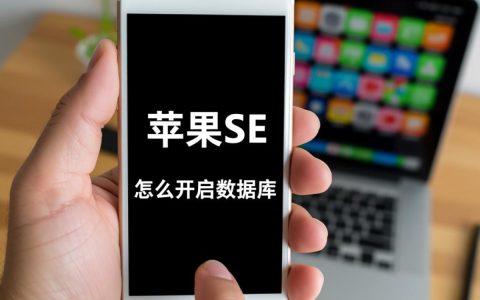 苹果SE手机上的数据库功能要怎么开启，具体在哪里设置？