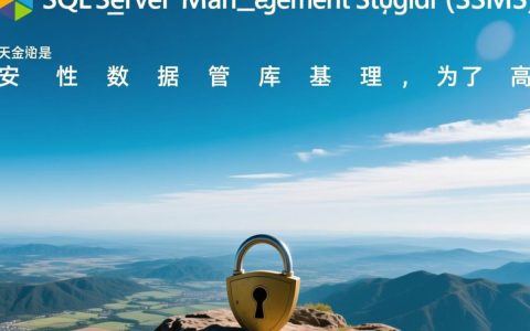 SSMS服务器角色有哪些？如何正确配置并分配权限？