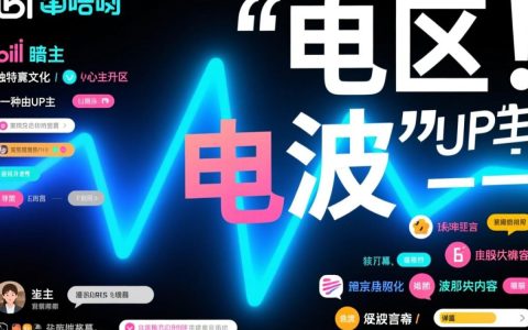 哔哩哔哩的电波无法到底是什么梗，为什么让人看不懂？