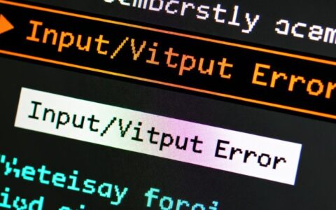Linux系统报错io error到底是怎么回事，该如何快速解决？