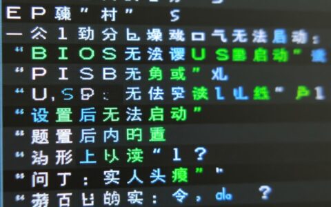 BIOS设置U盘启动不成功，该怎么解决才能进入系统？