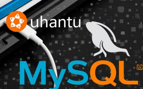在Ubuntu系统中，如何通过终端命令连接并登录MySQL数据库？