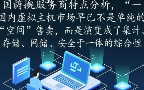 国内虚拟主机服务商最新排行，新手到底该如何选？