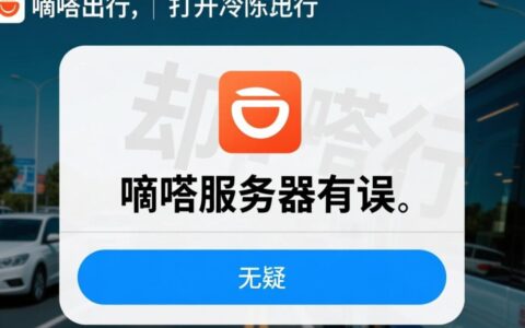 嘀嗒服务器有误无法下单，有什么解决办法吗？