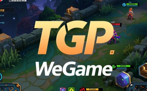 租用一台tgp专用服务器来玩游戏，能解决延迟和卡顿的问题吗？