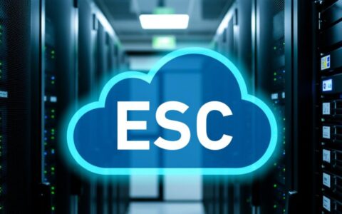 ESC服务器流量费用太高怎么办？如何有效降低带宽成本？