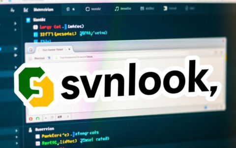svnlook不是服务器,那它究竟是什么工具?