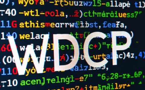 WDCP建的网站突然报错打不开了，具体是什么原因造成的呢？