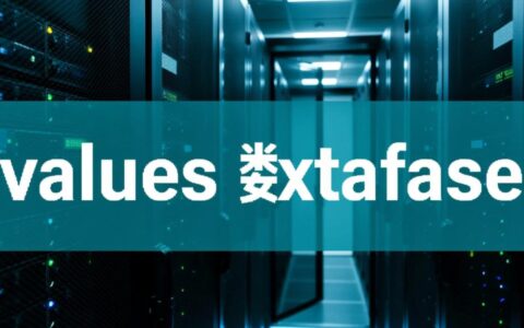 VALUES数据库怎么使用，求一份新手入门详细教程？