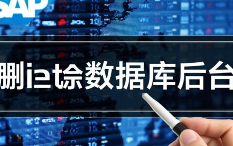 SAP数据库后台直接删数据具体有哪些风险和正确步骤?