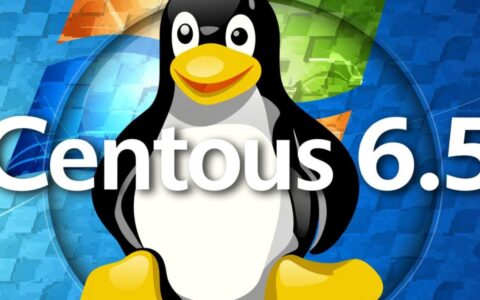 centos 6.5服务器系统如何安装好所有软件组件？
