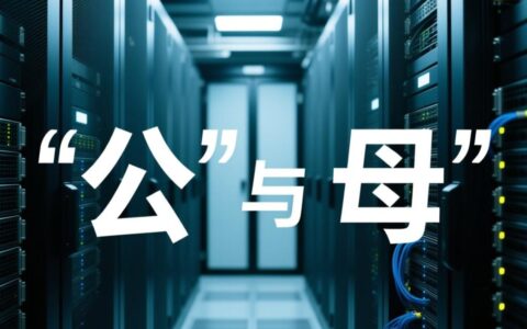 服务器公母接口是什么？如何区分并正确连接？