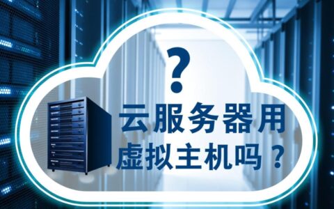 云服务器上可以自己搭建虚拟主机来用吗？