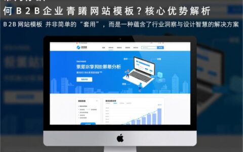哪里可以下载到专业又好看的b2b企业网站模板？