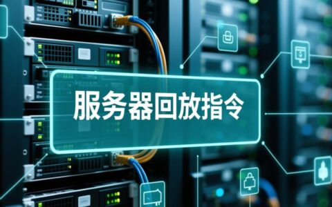 到底要如何利用服务器回放指令，精准复现线上用户操作问题？