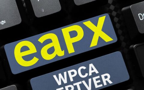 eapx哪个服务器最适合新手？2025最新选服攻略是什么？