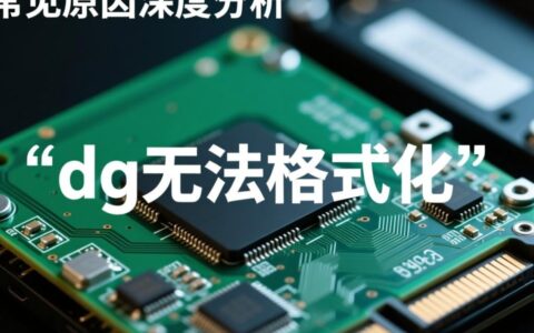 dgU盘无法格式化是坏了还是写保护，用什么工具可以修复好？