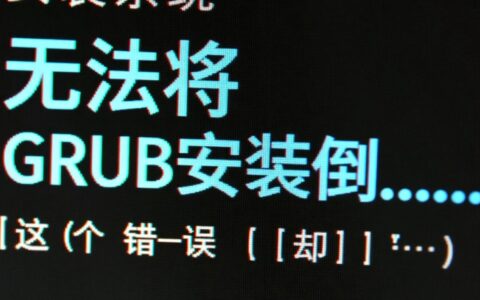 无法将grub安装到指定磁盘，这个错误如何解决？