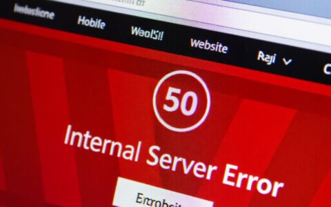 虚拟主机网站出现500错误，具体原因和怎么解决？