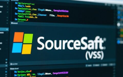 哪里有VSS下载服务器的完整安装包及配置教程？