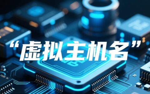 我想知道我的虚拟主机名和服务器IP地址具体应该怎么看才用于网站域名解析？