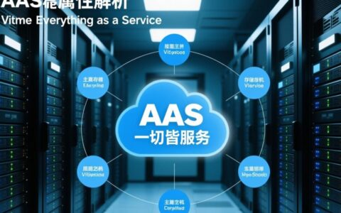 虚拟主机和存储服务为何被归类为AAS？